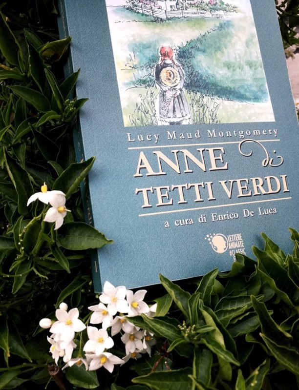 Anne di Tetti Verdi