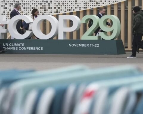 COP29